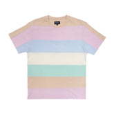 344123 Mid City Embroidered Tee (Multi)