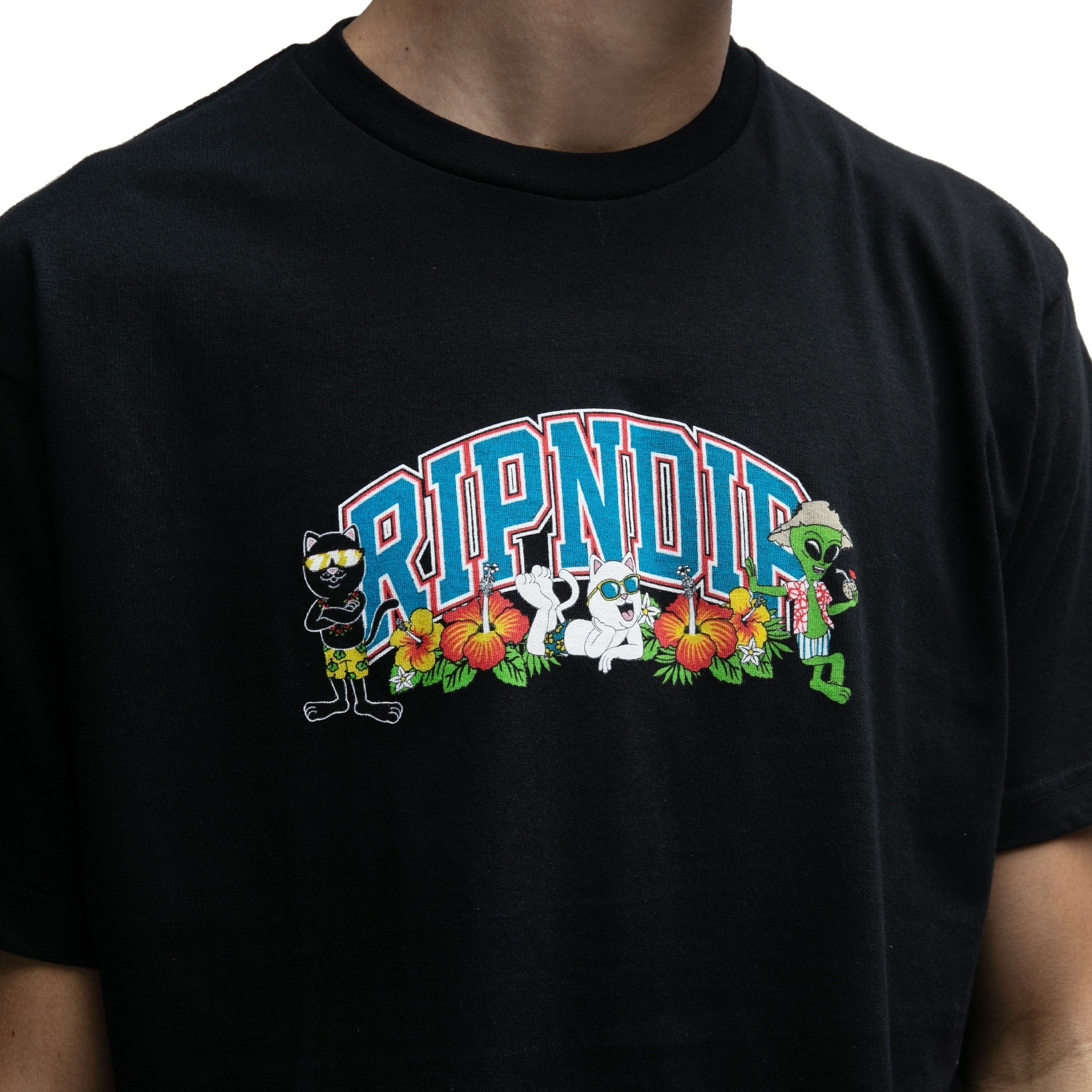378612 Summer Friends Tee (Black)