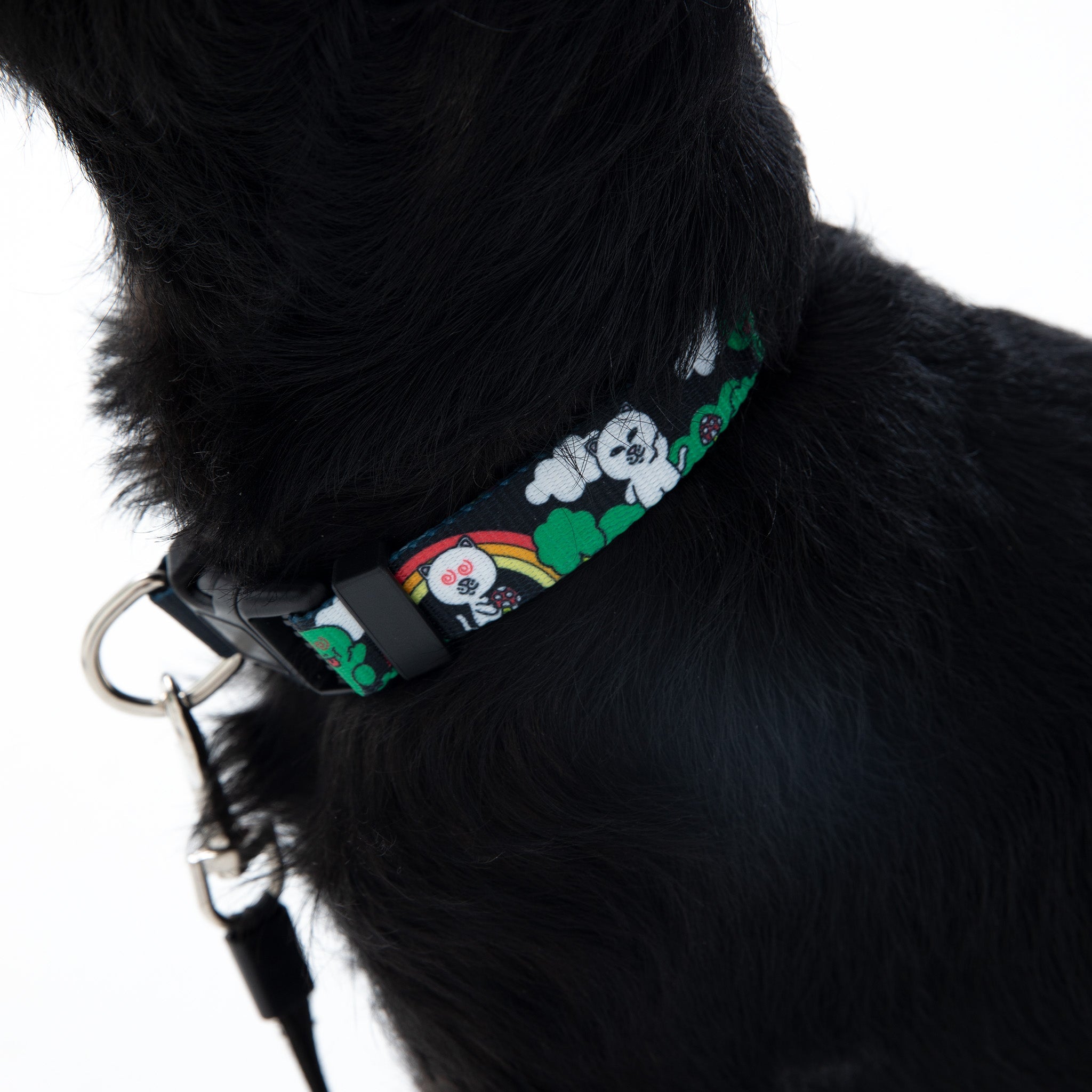 RIPNDIP Buddy System Web Belt Pet Collar (Black)
