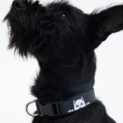 RIPNDIP Peek A Nerm Web Belt Pet Collar (Black)