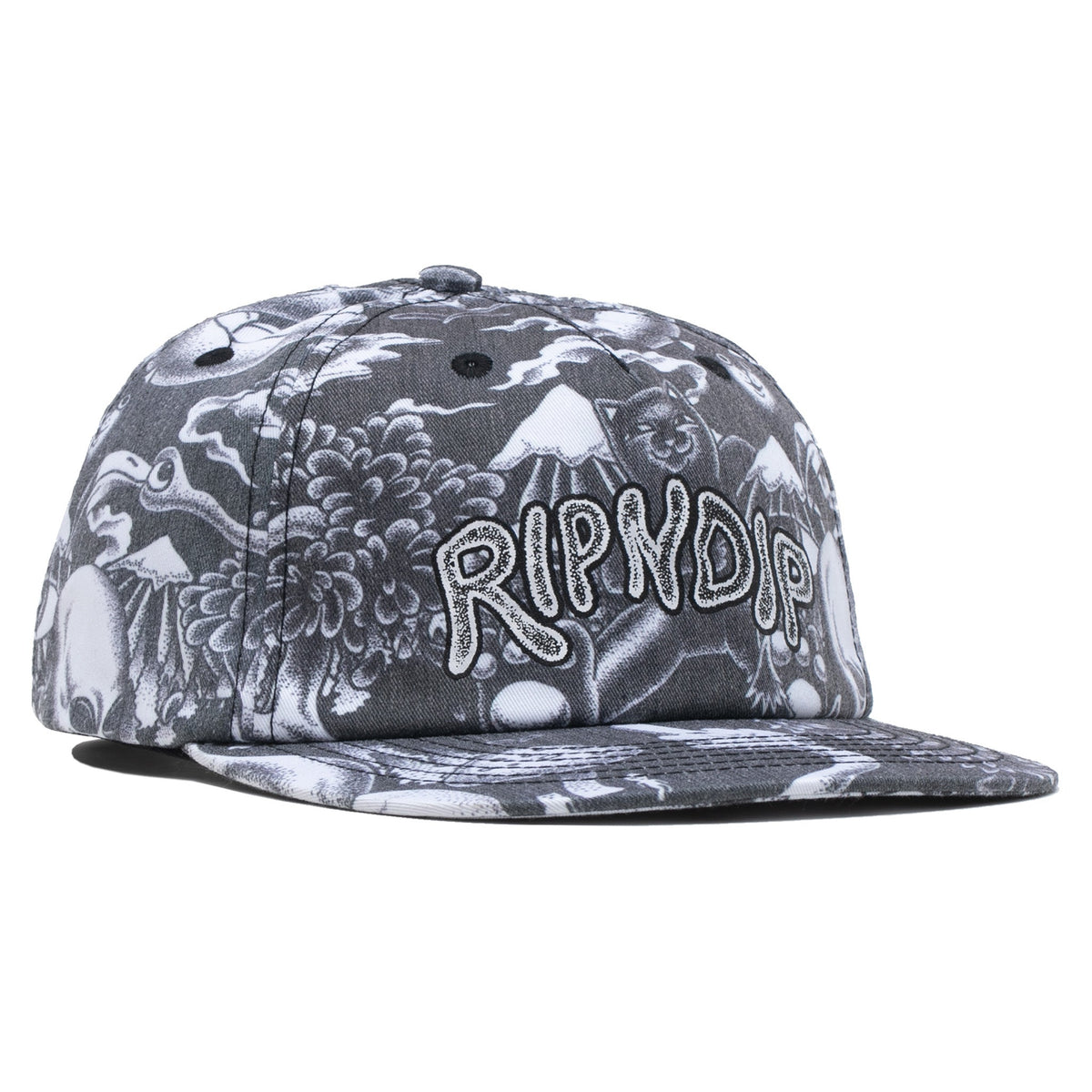 RIPNDIP Dark Twisted Fantasy 6 Panel Hat (Black)