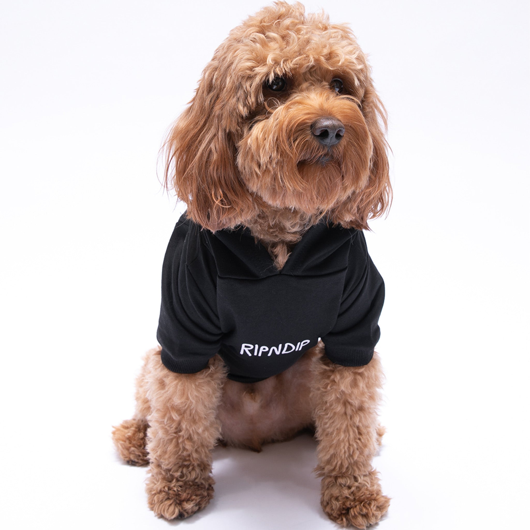 RIPNDIP Lord Nermal Pet Hoodie (Black)