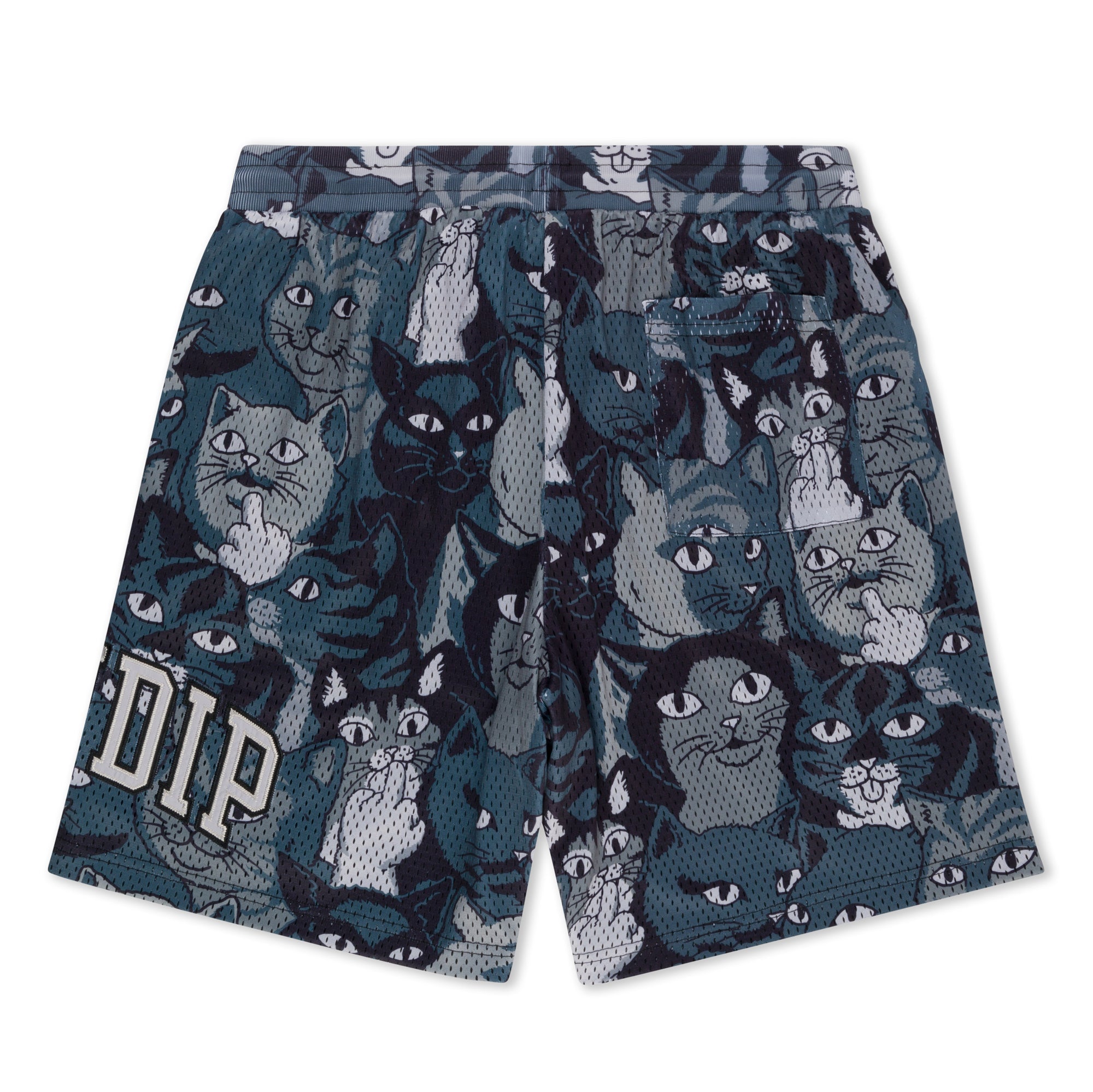 RIPNDIP Family Tree Basketball Shorts (Black)