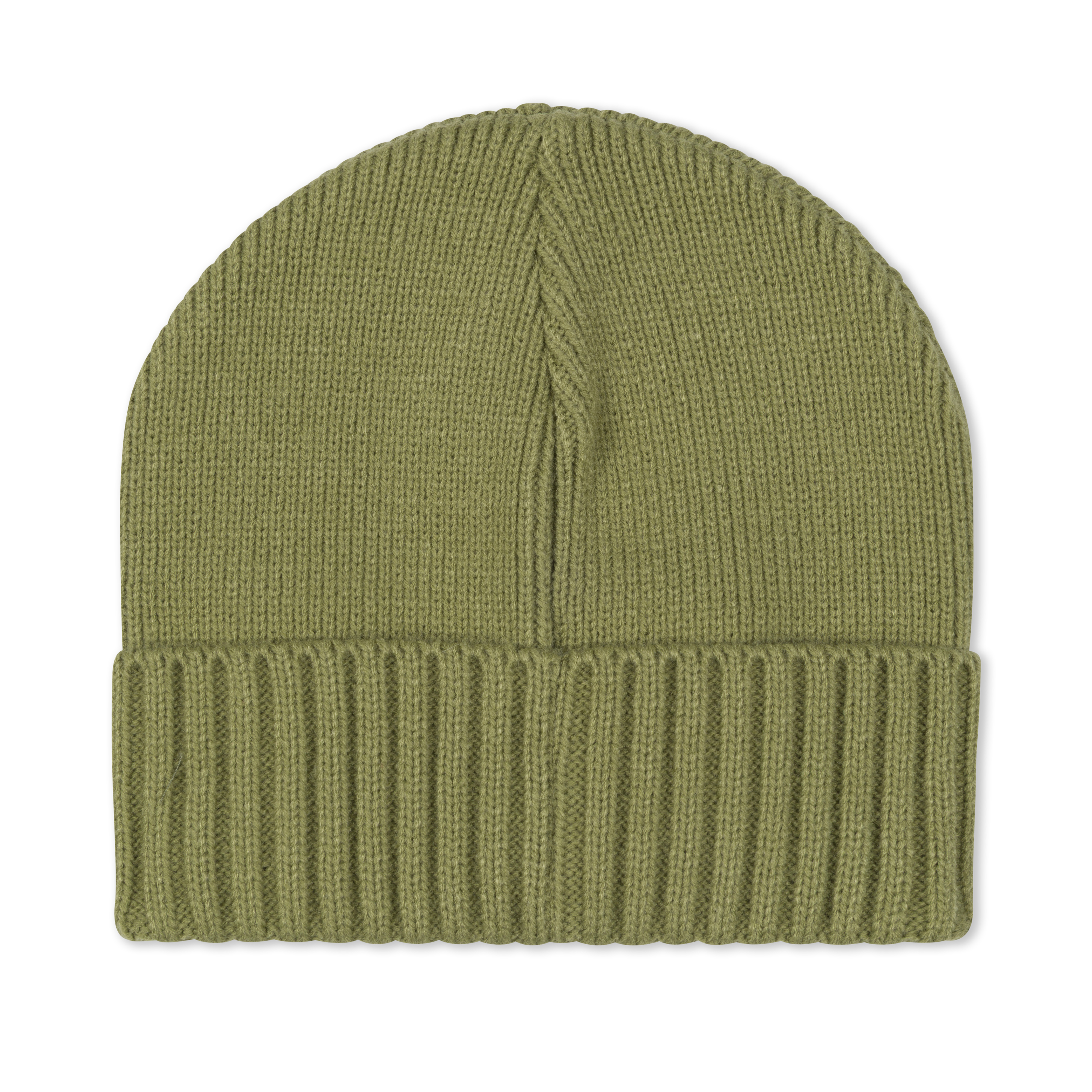 RIPNDIP Lord Nermal Beanie (Light Forest)