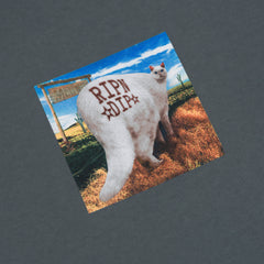 RIPNDIP Rowdy Howdy Tee (Charcoal)