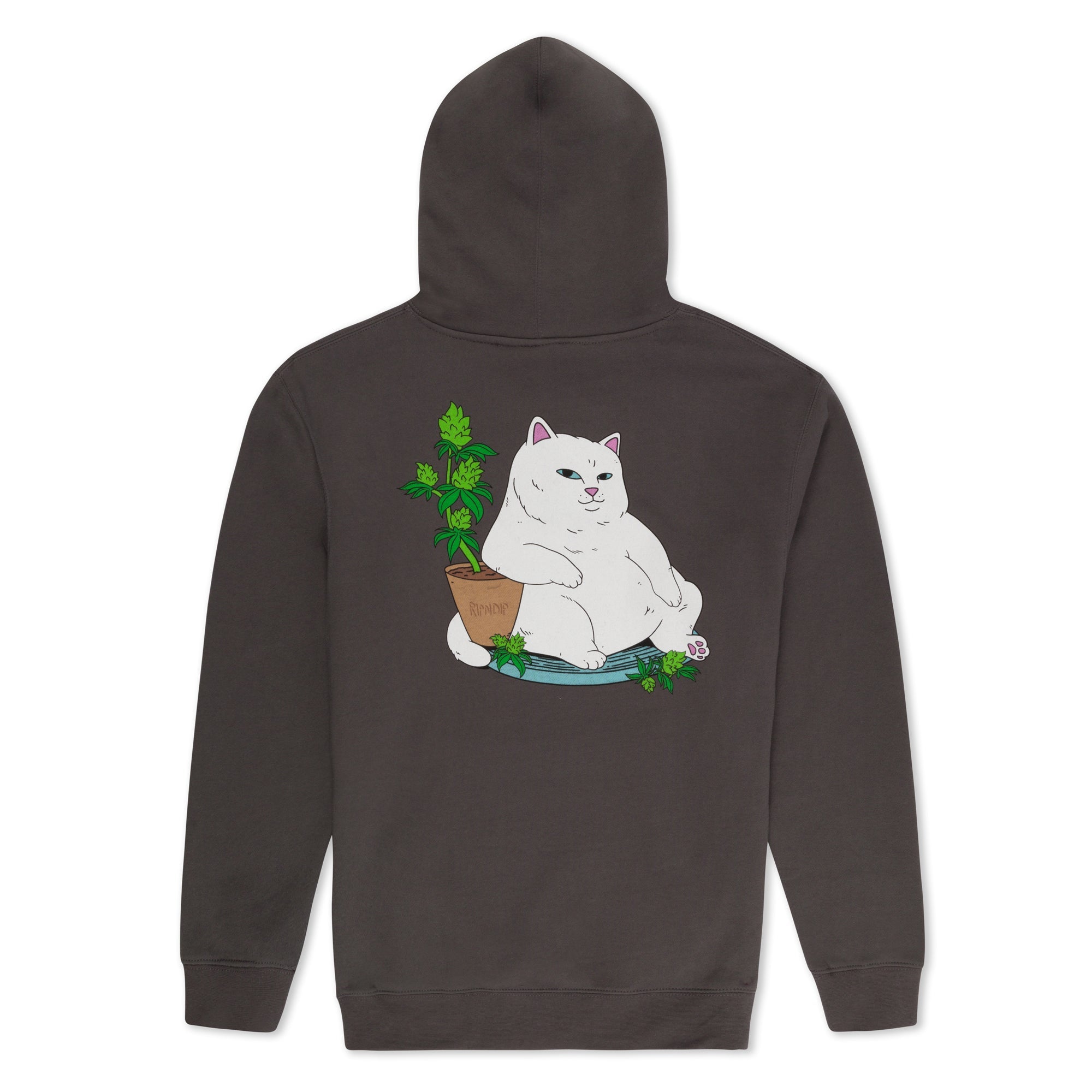 RIPNDIP Flower Boy Hoodie (Charcoal)