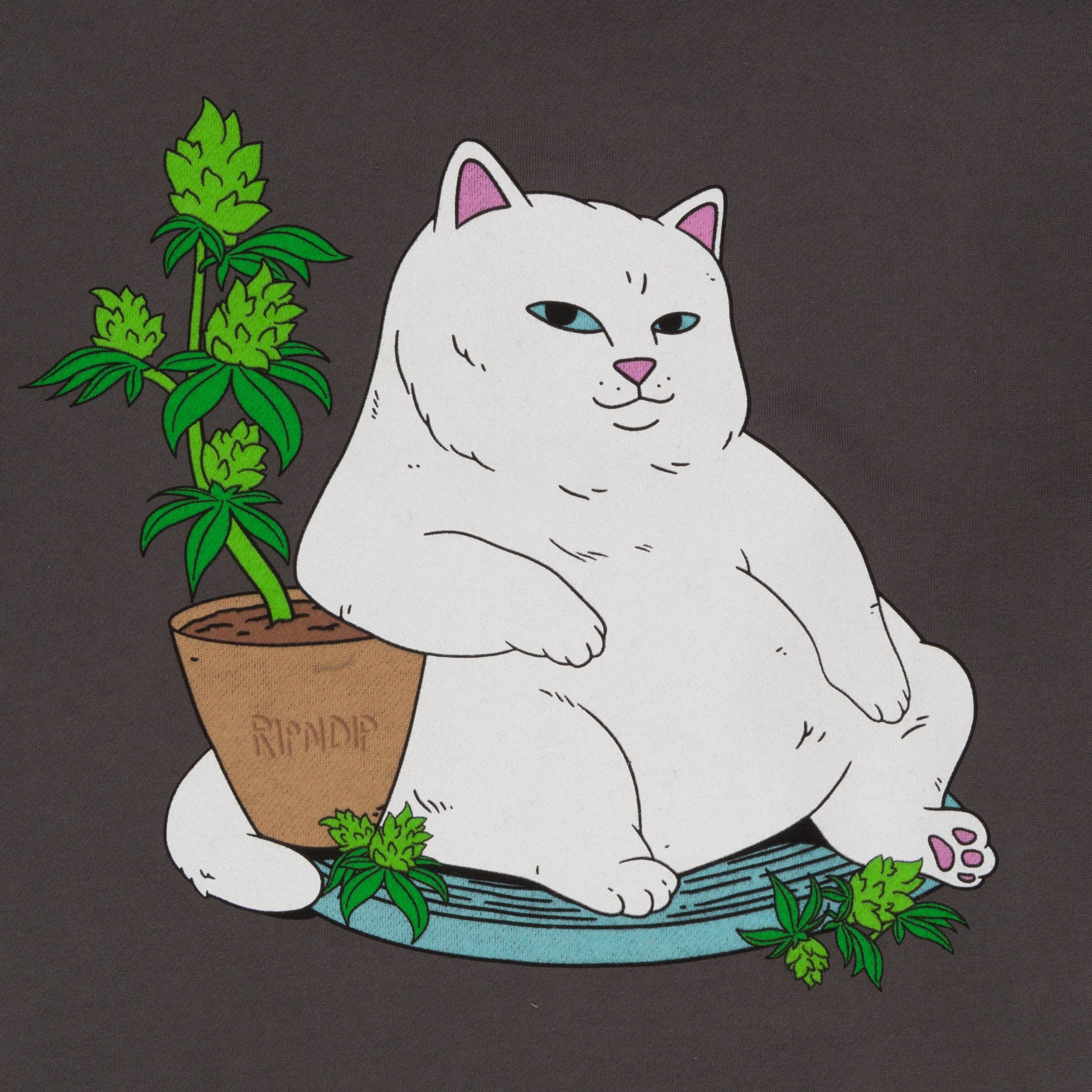 RIPNDIP Flower Boy Hoodie (Charcoal)