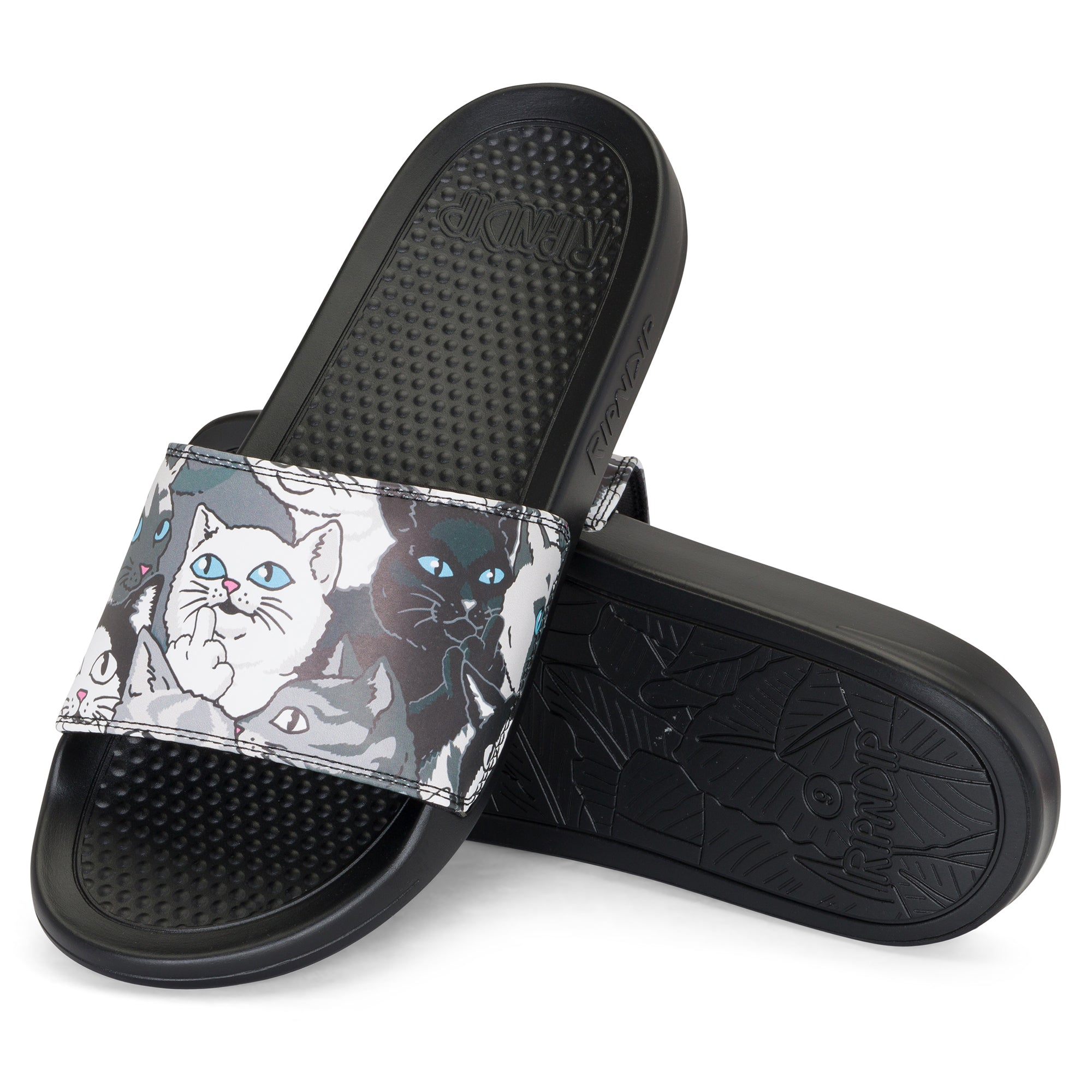 RIPNDIP Family Tree Slides (Multi)