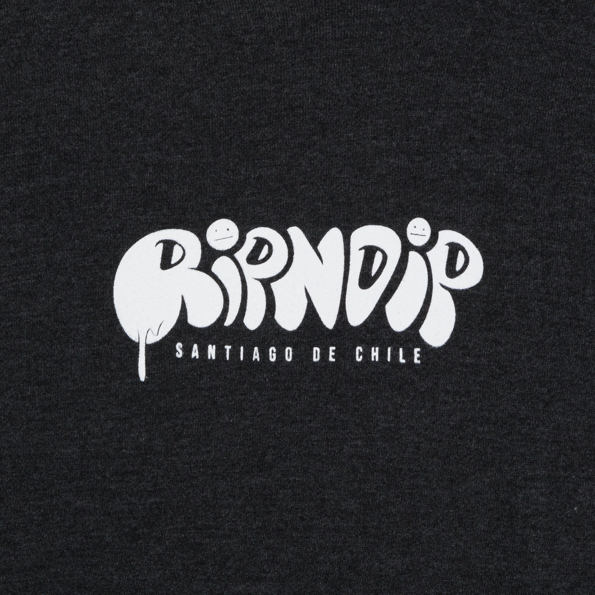 RIPNDIP Santiago Hoodie (Charcoal)