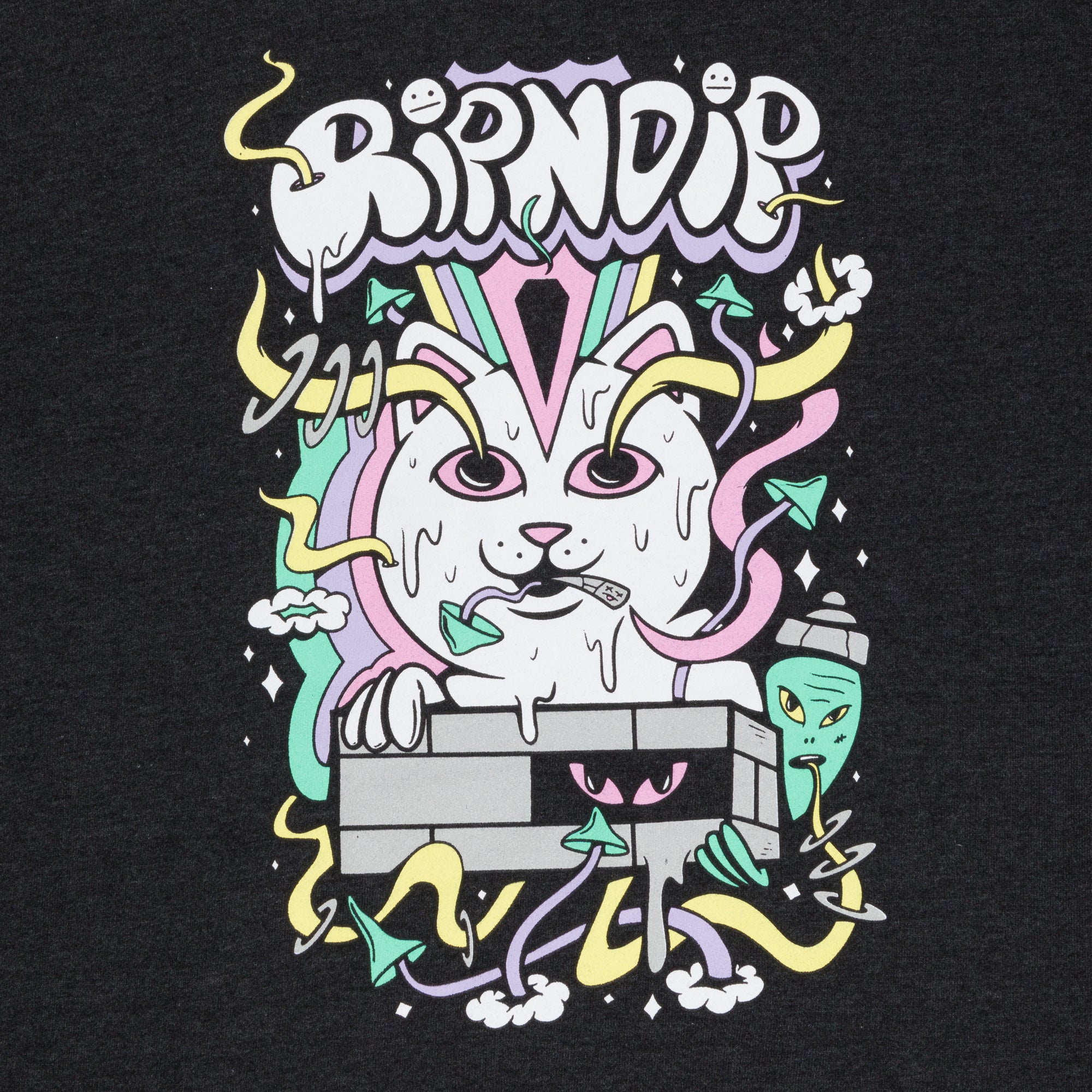 RIPNDIP Santiago Hoodie (Charcoal)