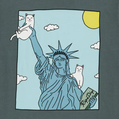 RIPNDIP Liberty Pocket Tee (Charcoal)