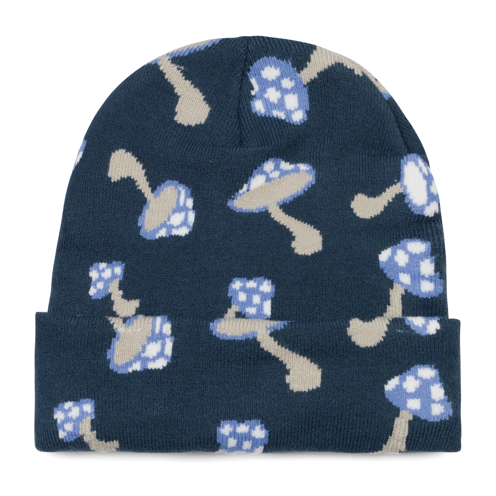 RIPNDIP Euphoria Beanie (Slate)