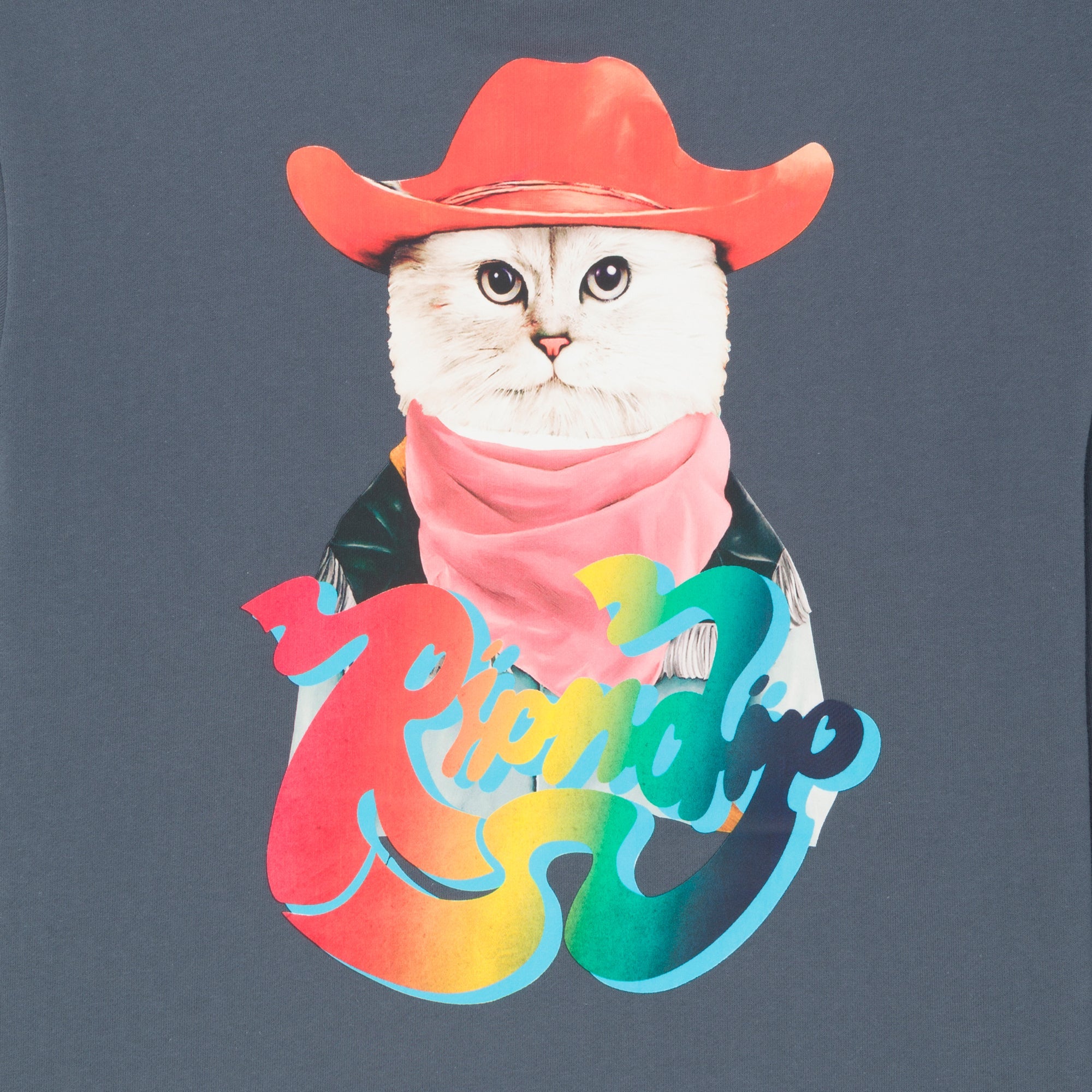 RIPNDIP Yee Haw Hoodie (Storm Blue)