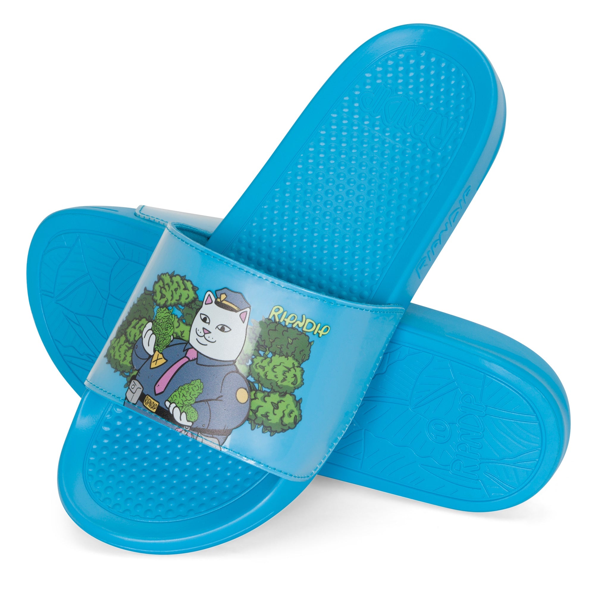 RIPNDIP Confiscated Slides (Blue)