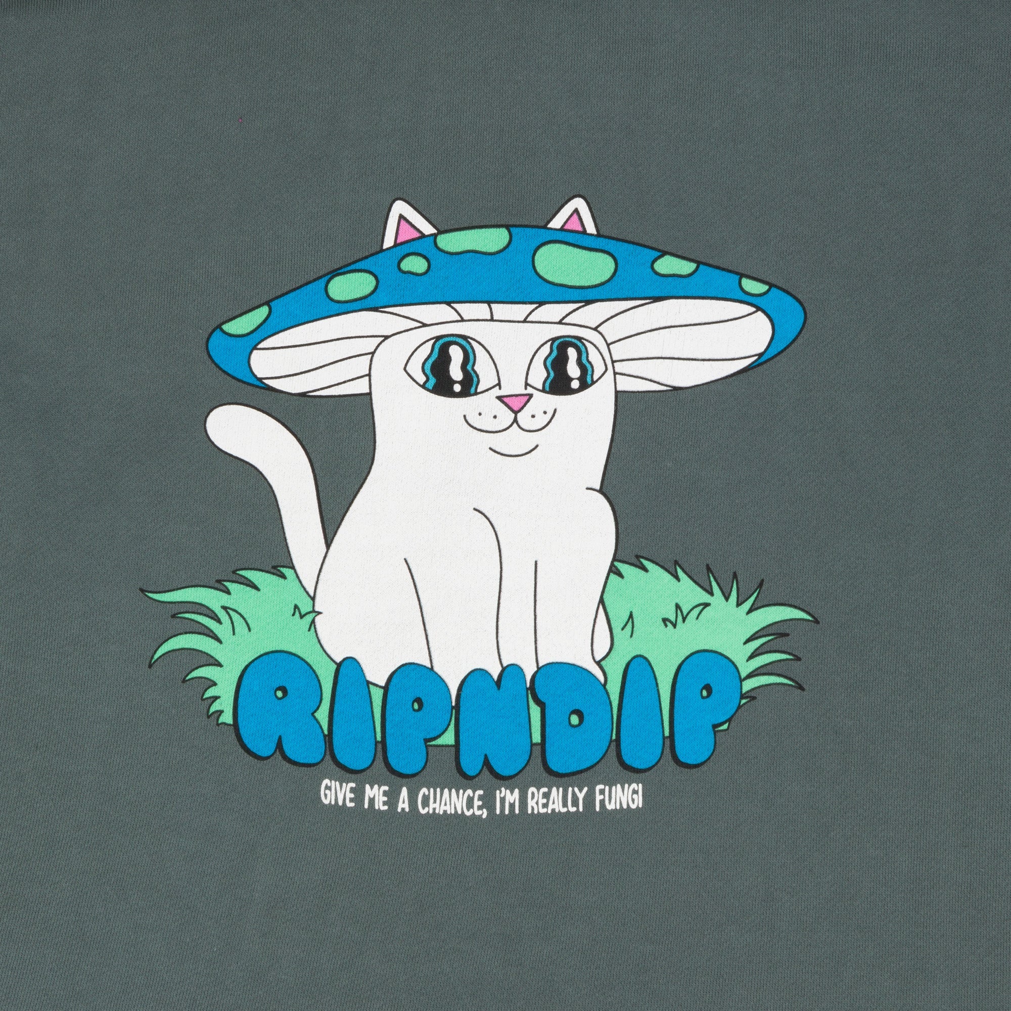 RIPNDIP Shroom Nerm Cropped Hoodie (Charcoal)