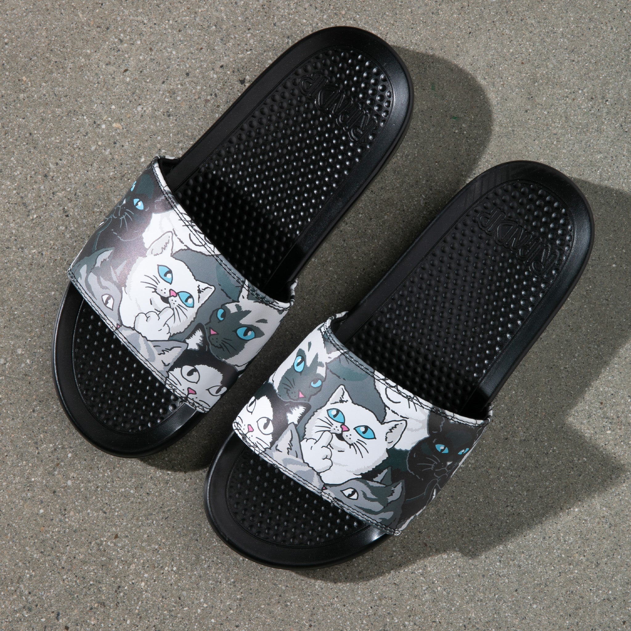 RIPNDIP Family Tree Slides (Multi)