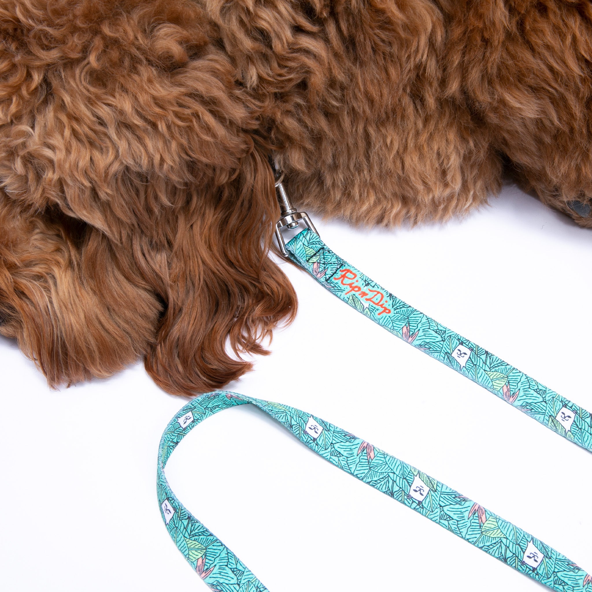 RIPNDIP Nermal Leaf Pet Leash