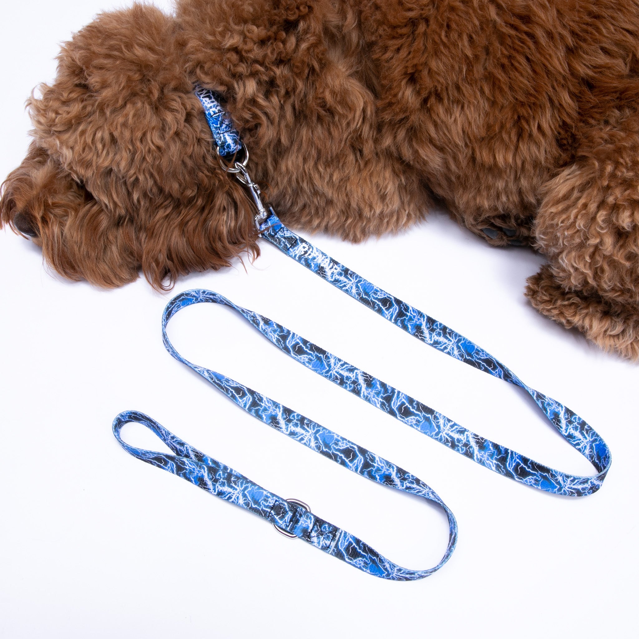 RIPNDIP Nikola Pet Leash