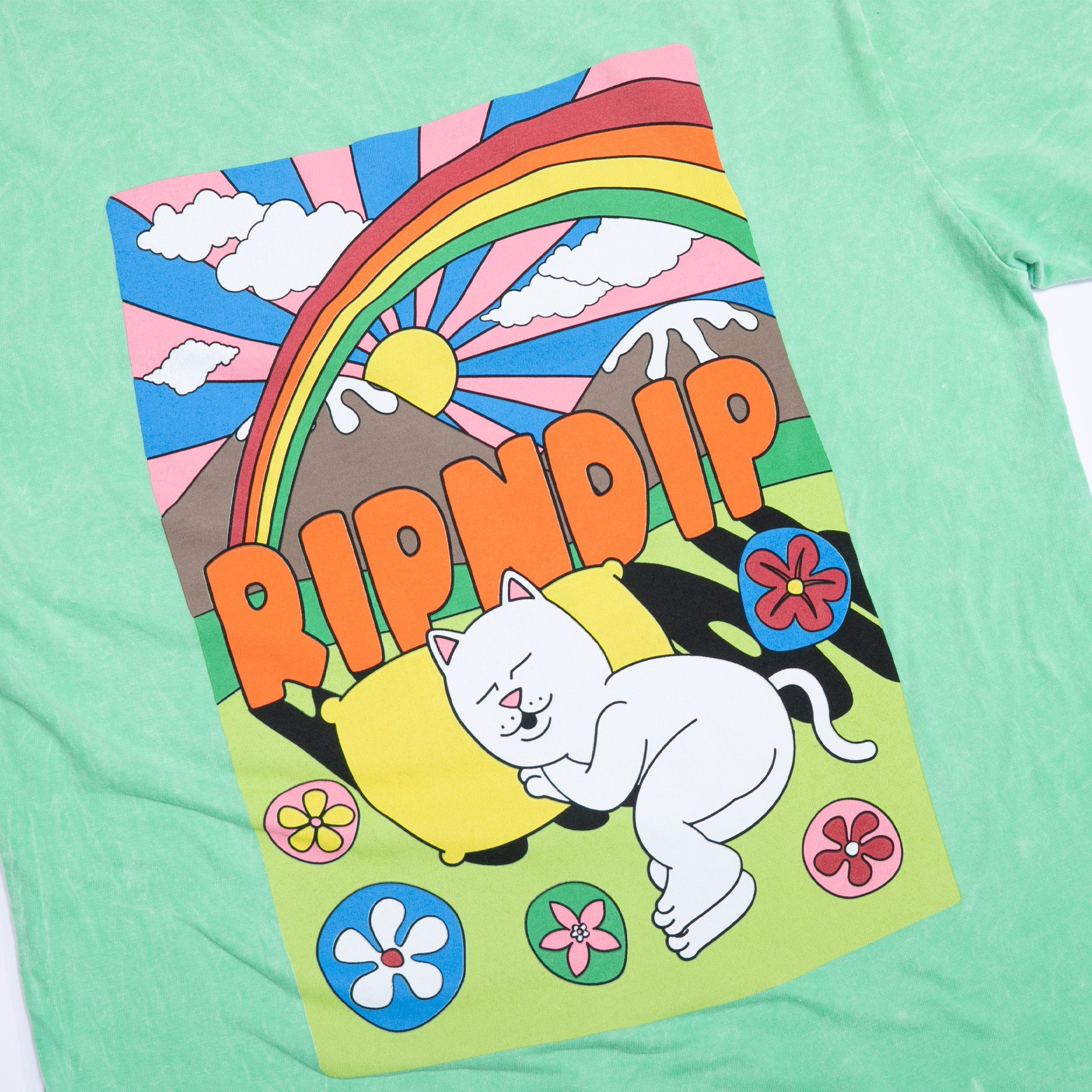 RIPNDIP Summer Camp Tee (Mint Mineral Wash)