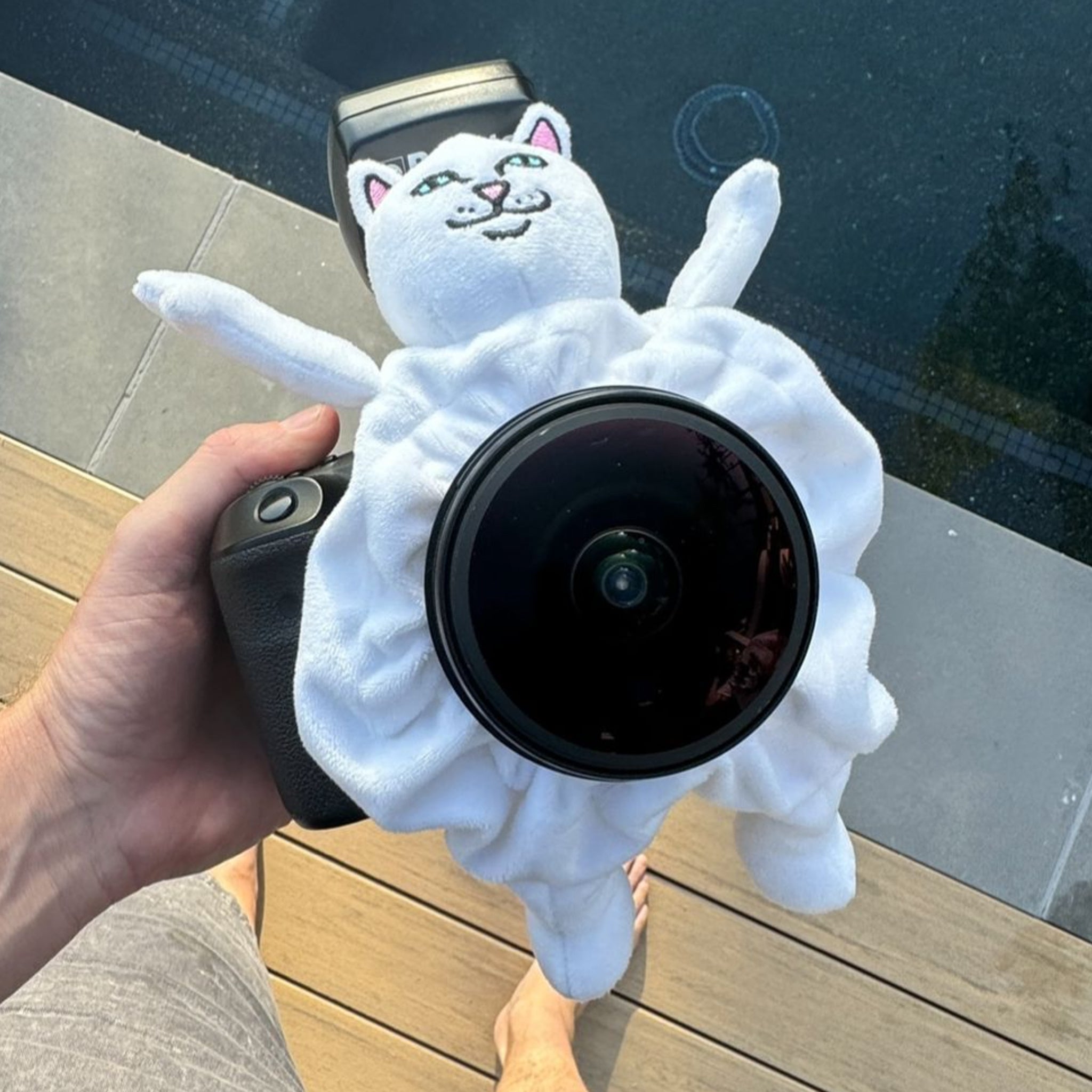 RIPNDIP Lord Nermal Shutter Hugger (White)
