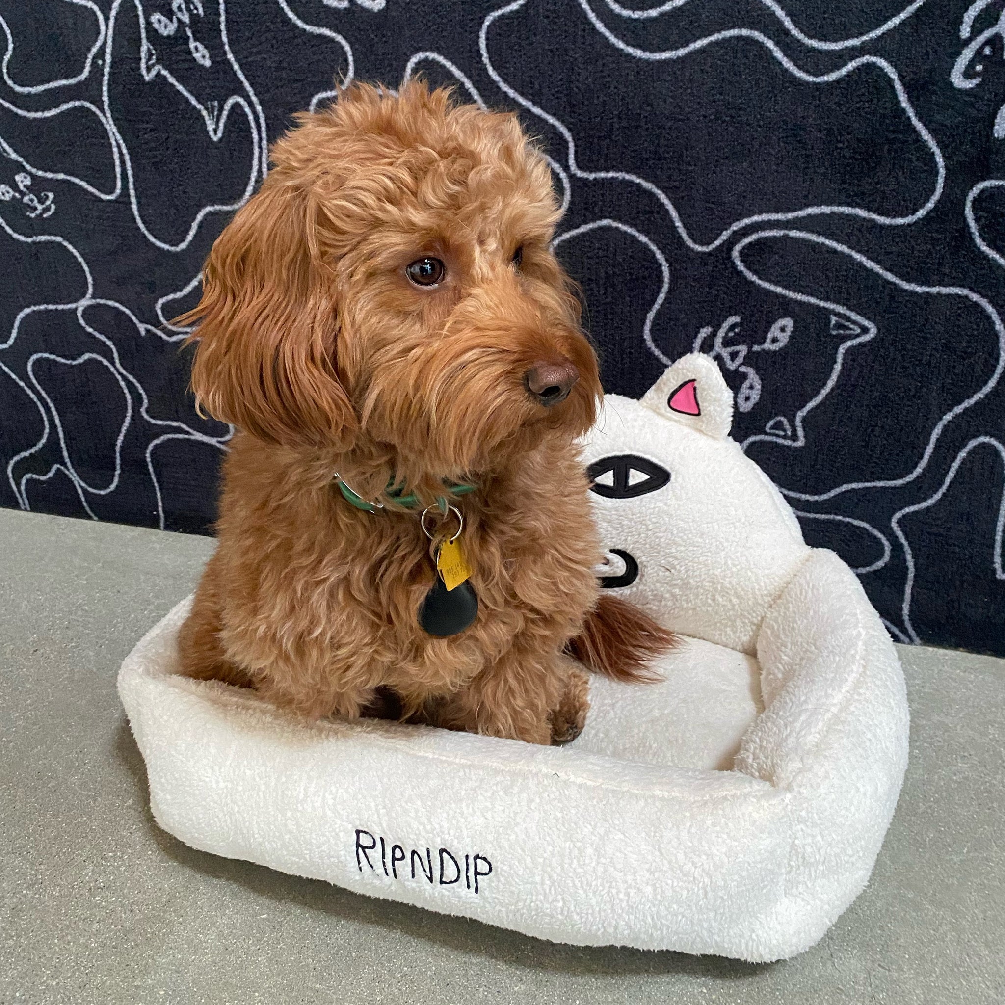 RIPNDIP Lord Nermal Small Pet Bed (White)