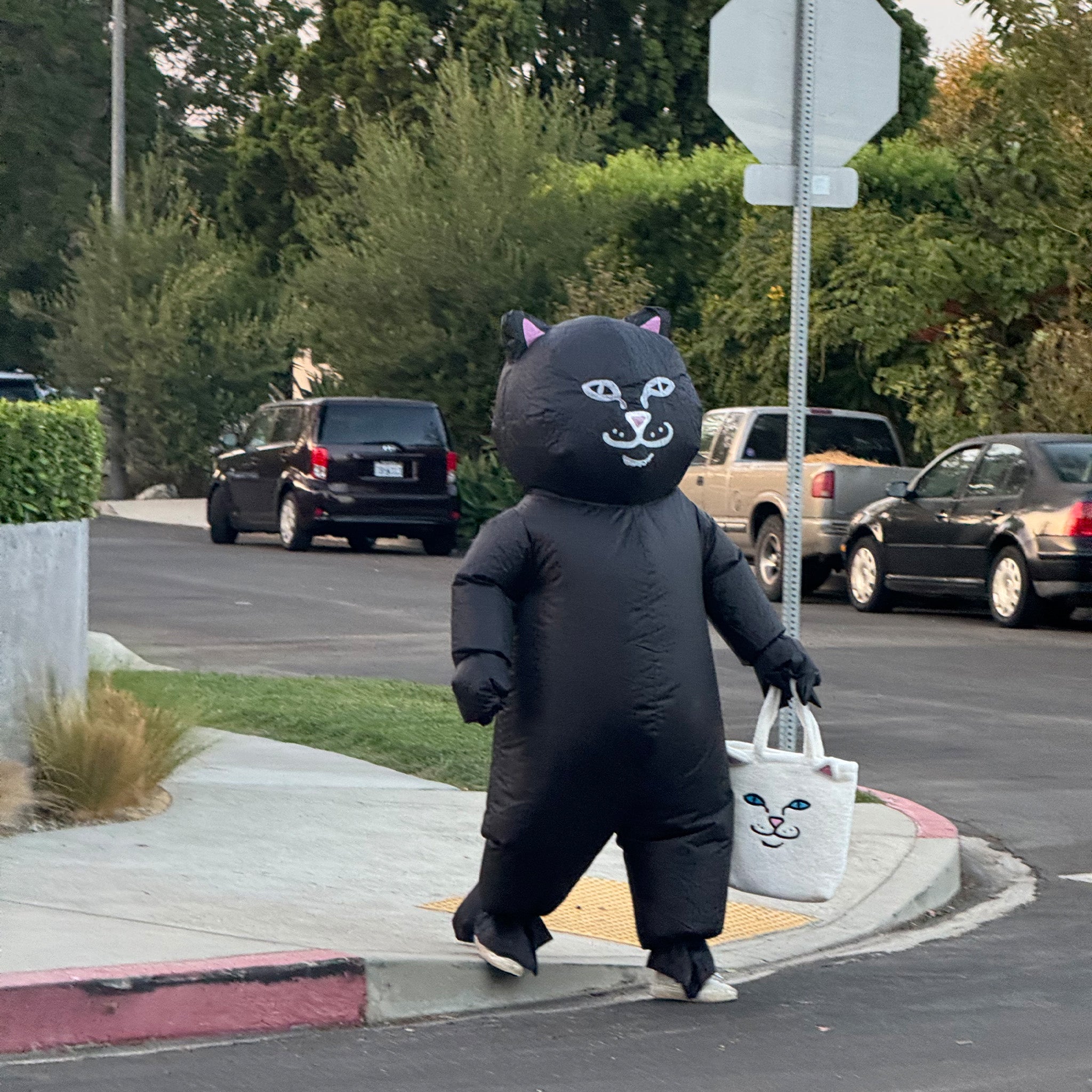 RIPNDIP Jermal Inflatable Costume (Black)