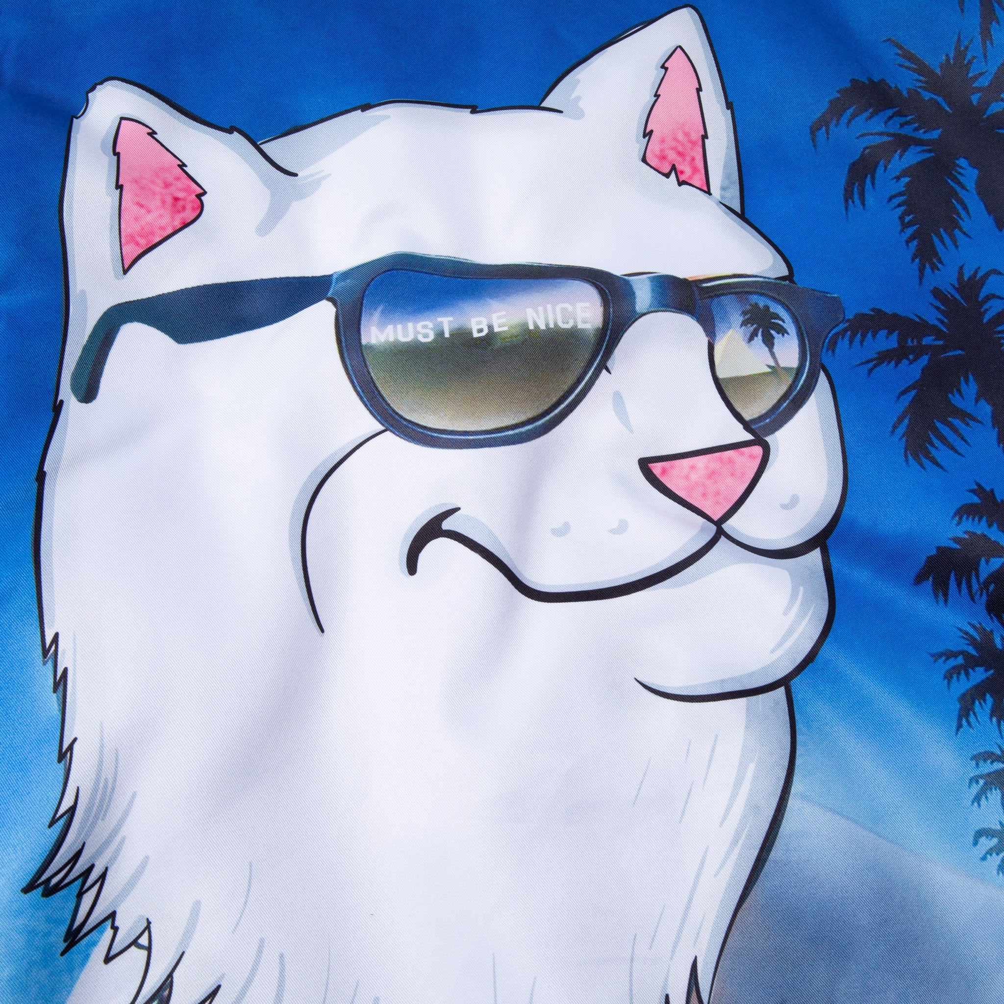 RipNDip Show Biz Poly Varsity Jacket (Blue)