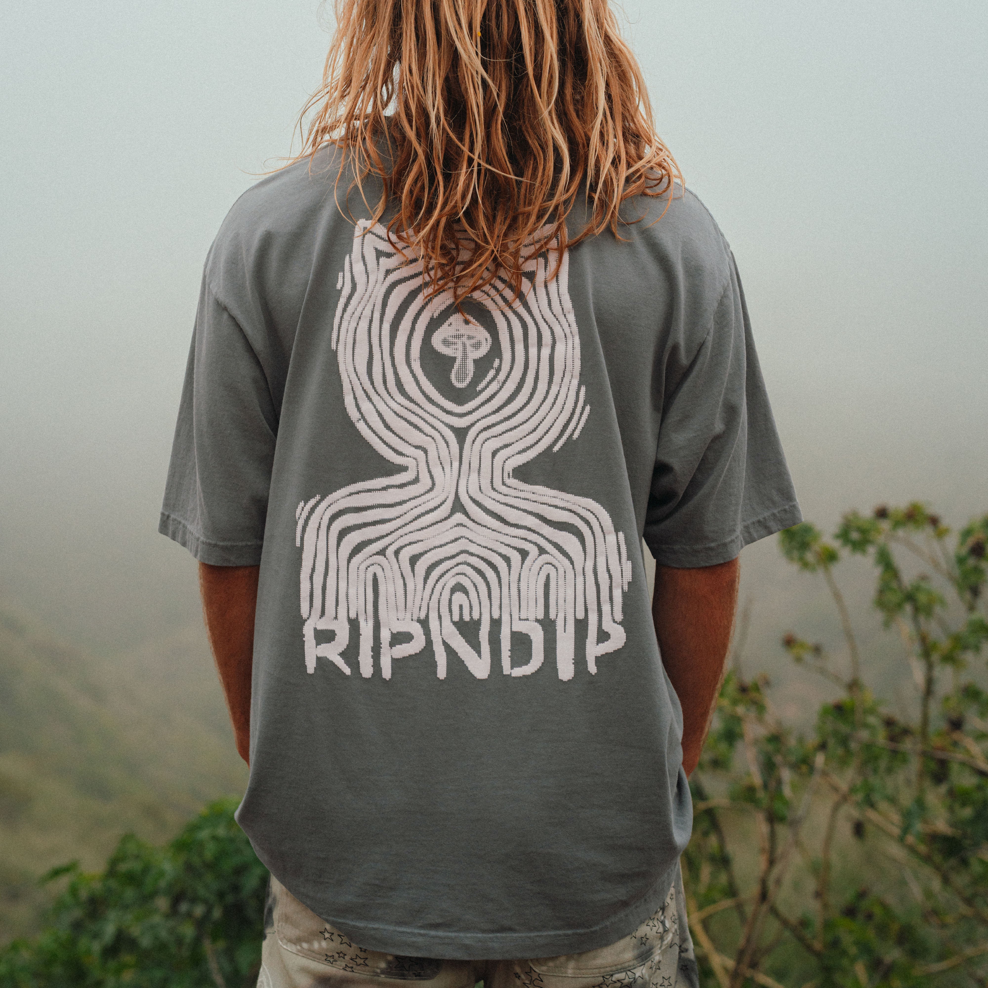 RIPNDIP CTRL Tee (Charcoal)