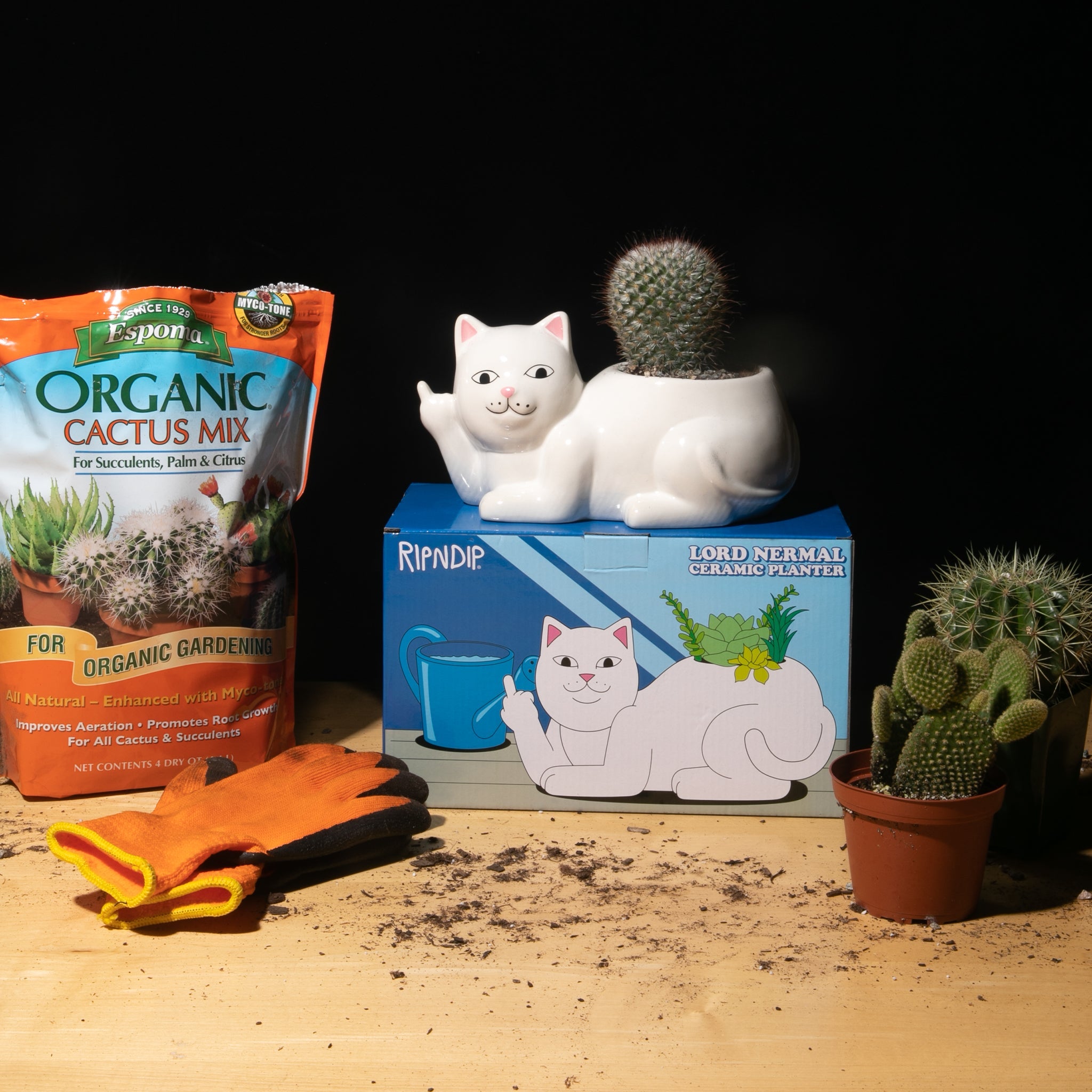 RIPNDIP Lord Nermal Ceramic Planter (White)